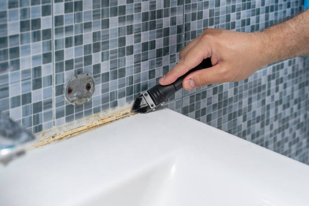 Best Post-Flood Mold Remediation in Summerset, SD